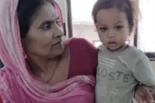 Un bebé de 2 años mató a una cobra mordiéndole la cabeza