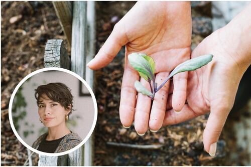 La sostenibilidad como emprendimiento: una innovadora solución para combatir la crisis climática