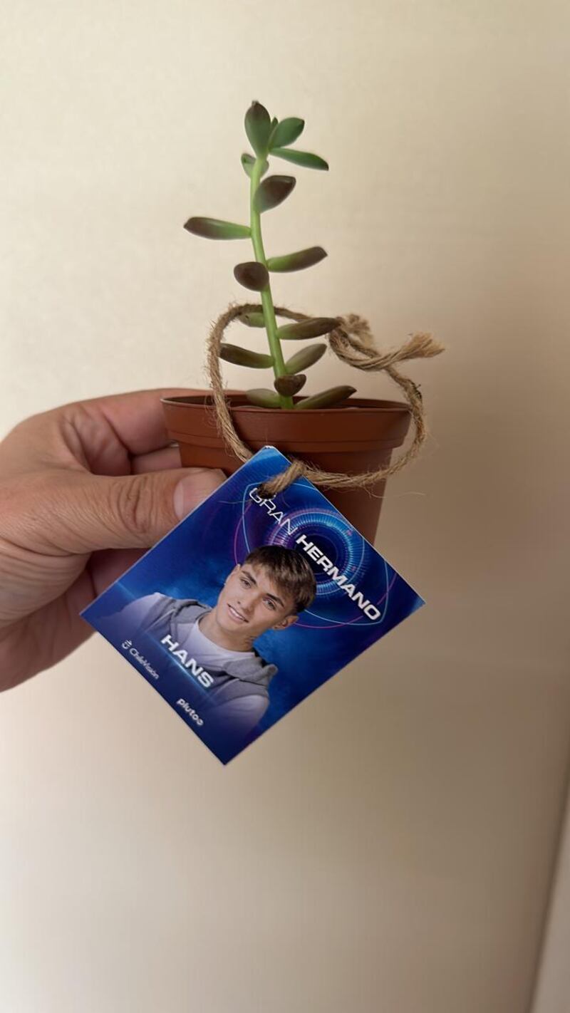 El penúltimo eliminado de Gran Hermano, Hans Valdés, sorprendió a la prensa que llegó en masa a entrevistarlo a CHV, entregándoles un simbólico detalle que lo representa en cuerpo y alma.
Se trató de una pequeña planta decorativa, en honor al seudónimo que recibió al interior del encierro, debido a su personalidad quitada de bulla.
