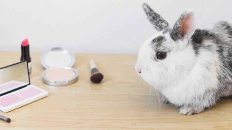 Testeo de cosméticos en animales