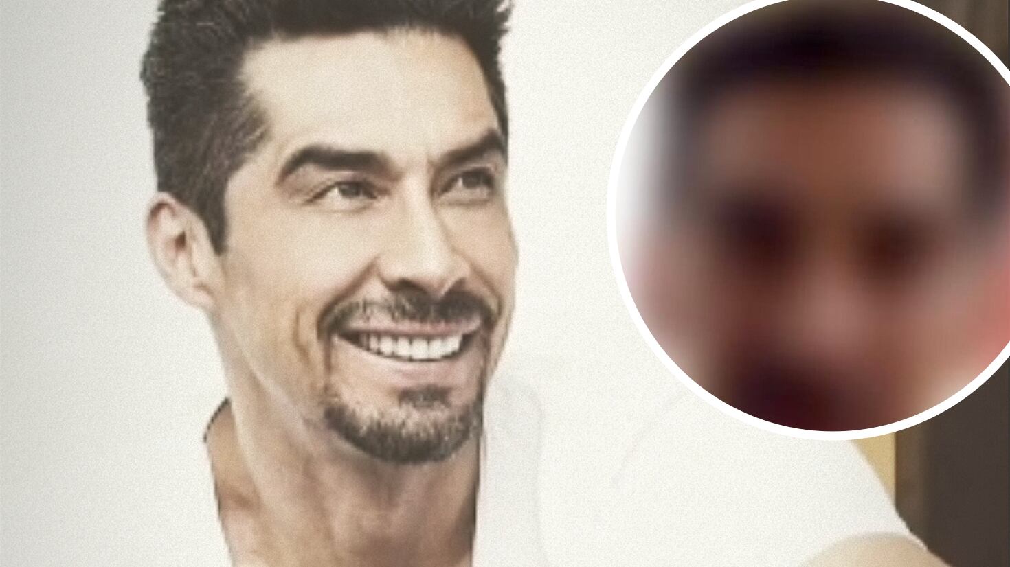 Reacciones de internautas