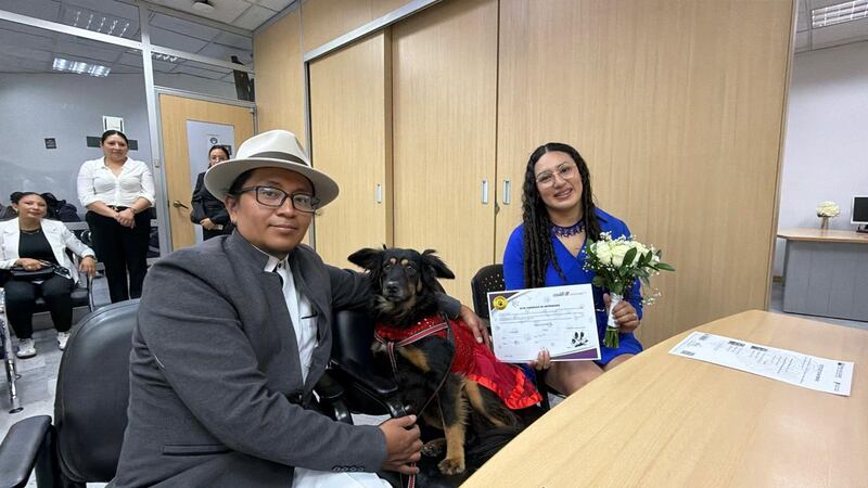 Boda pet-friendly