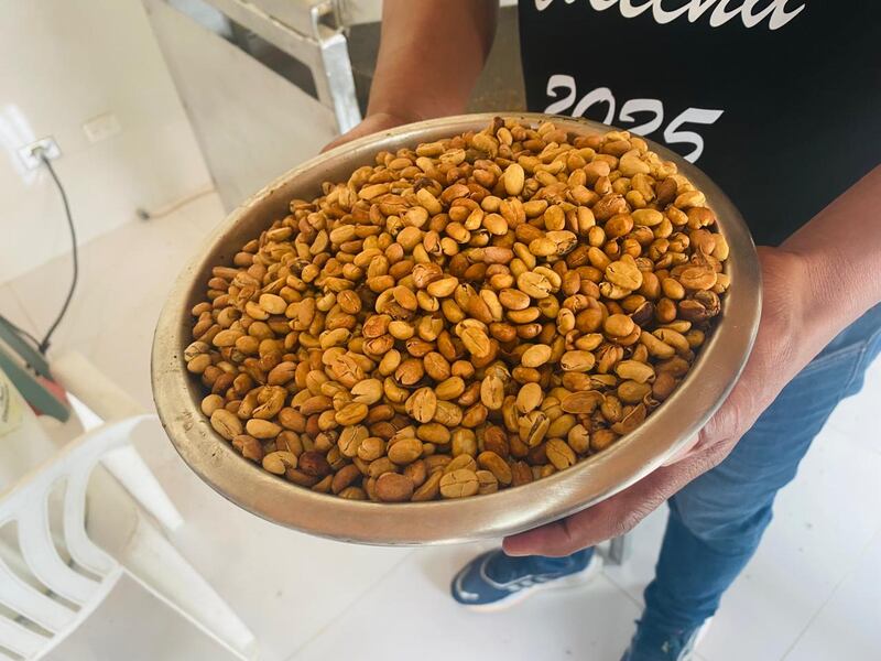 Granos secos de café.