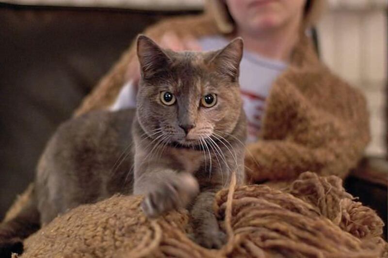 Es un acto invaluable en un gatito