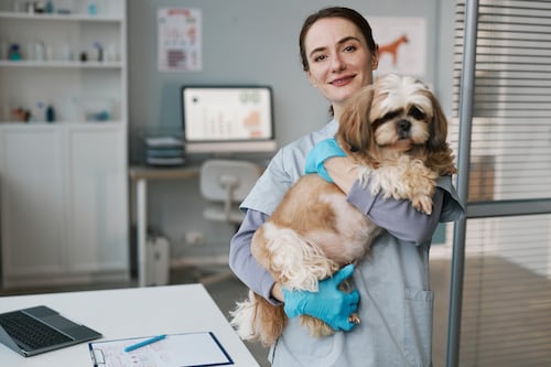 Quito implementa “Registra tu Huella”: la nueva base de datos veterinaria municipal
