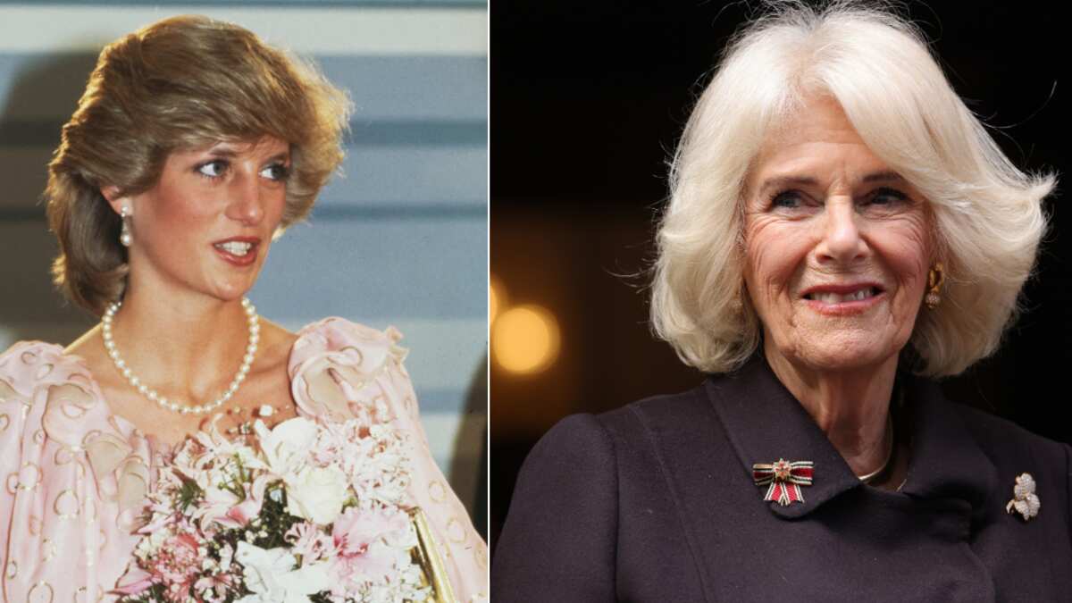 Lady Di / Camila Parker