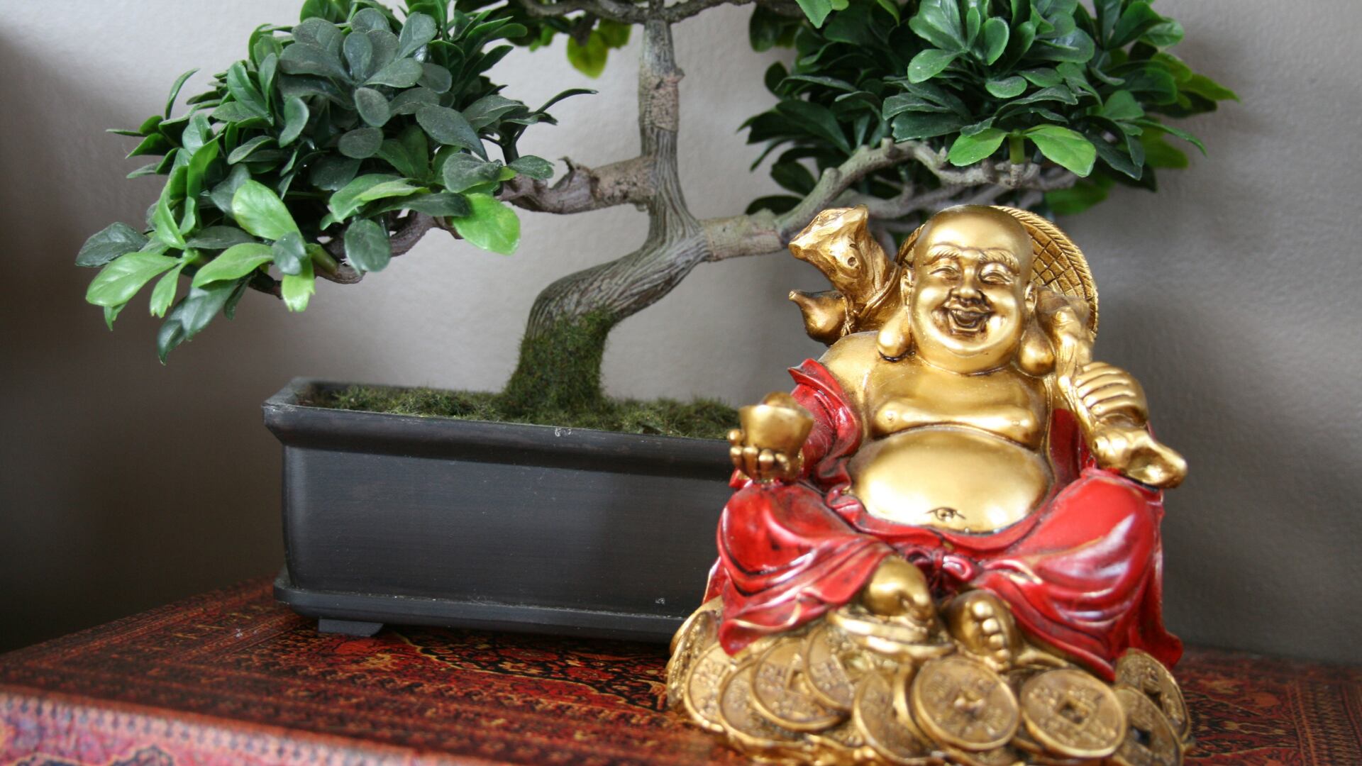 La suerte antes de que termine el 2023