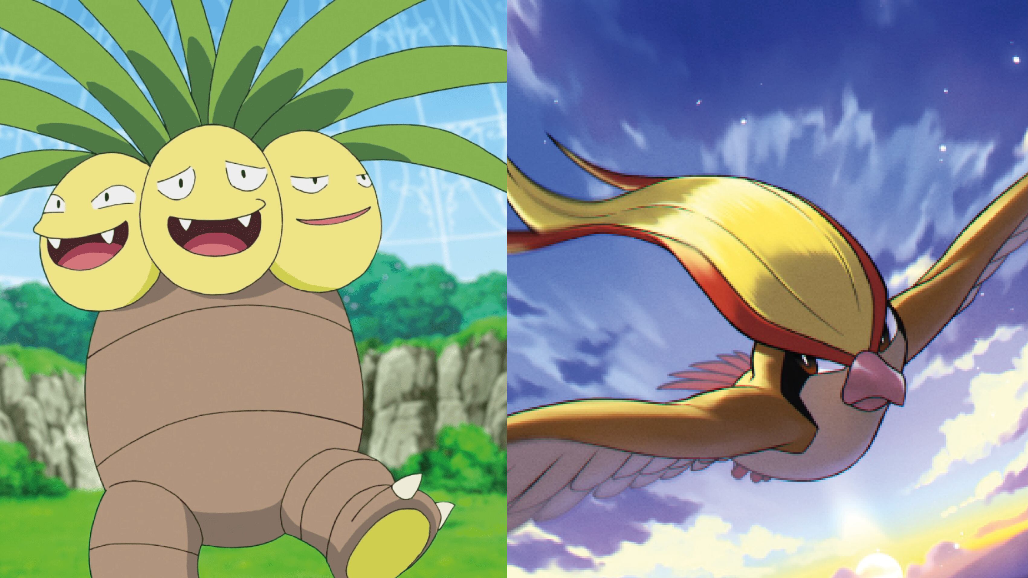 Pokemones en Ecuador