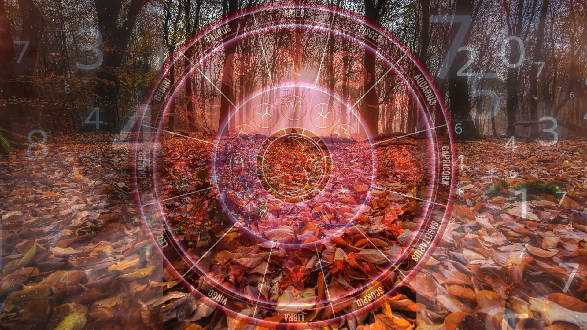 Los números que te darán un golpe de suerte antes de que acabe el otoño