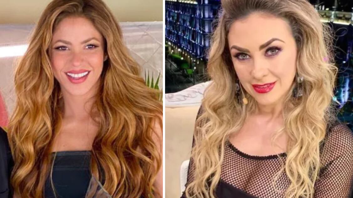 Aracely Arámbula