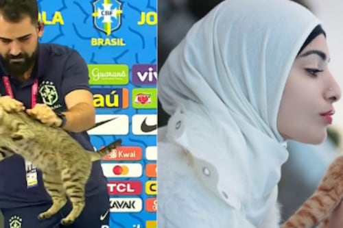Los gatos son sagrados en el Islam: el origen de la ‘maldición’ que eliminó vergonzosamente a Brasil 