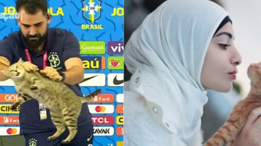 Los gatos son animales sagrados y Brasil no debió meterse con ellos