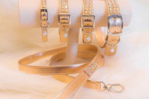 ¡Mascotas chic! Esta es la nueva línea de joyería para tus peludos