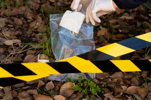 Cada 34 horas, una mujer en Ecuador es víctima de femicidio