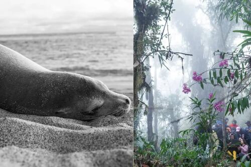 Dos miradas ecuatorianas conquistan el mundo: Romero y Valenzuela, finalistas del Sony World Photography Awards 2026