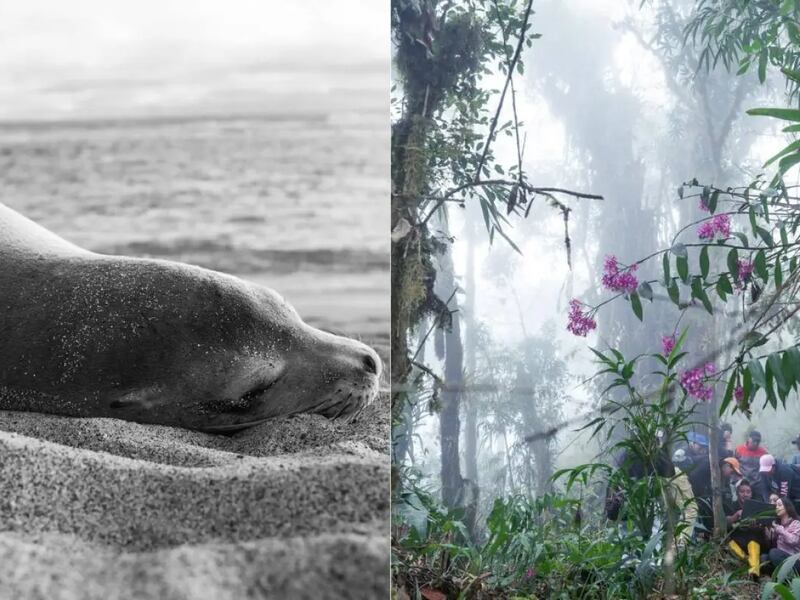 Dos miradas ecuatorianas conquistan el mundo: Romero y Valenzuela, finalistas del Sony World Photography Awards 2026