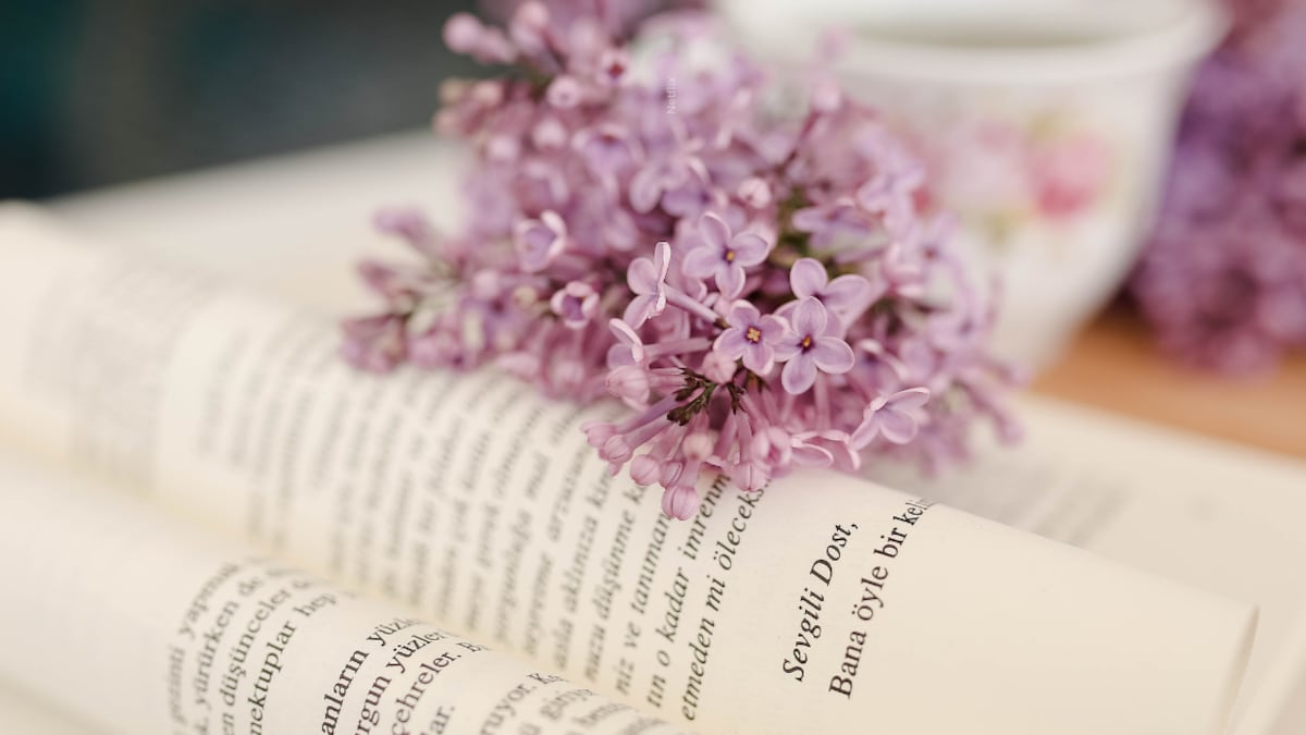 5 libros de historias de amor que huyen de los clichés y nos hacen creer en lo posible