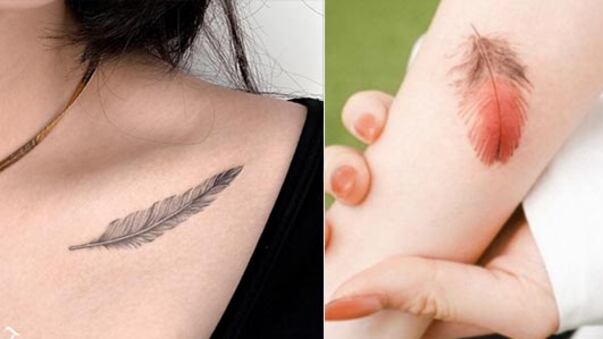 Tatuajes plumas