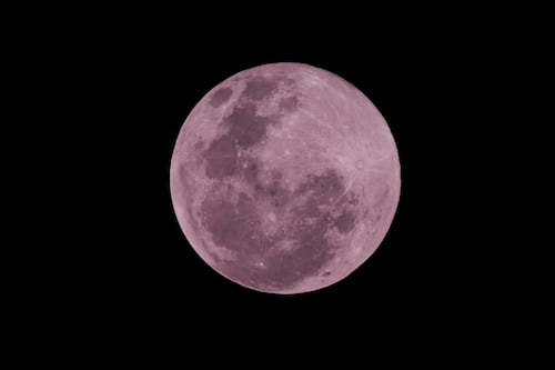 Luna Rosa 2026, descubre qué significa, cómo verla y cuándo este mes de abril