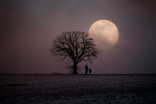 Luna de Nieve: No te puedes perder el brillo y grandeza de este evento astronómico