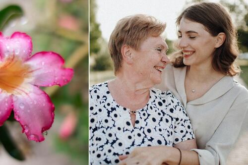 Rosa del desierto, la flor ideal para darle a mamá el Día de las Madres: atrae la buena suerte