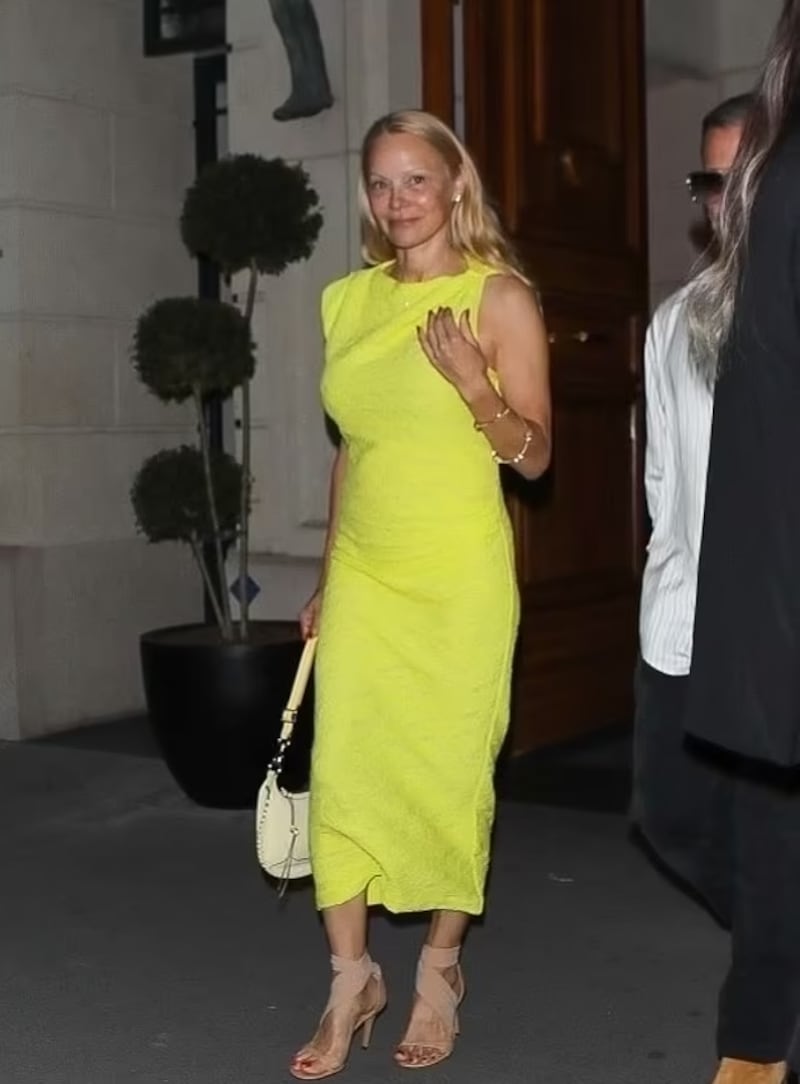 Pamela Anderson. Daily Mail