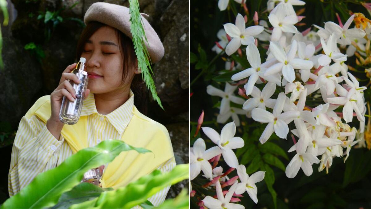 Los perfumes con olor a jazmín son sensuales y atemporales