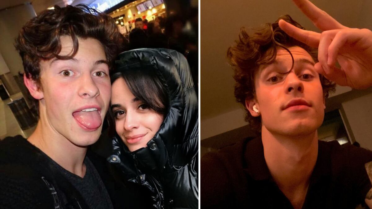 Shawn Mendes y camila cabello