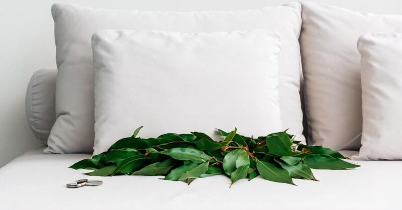 ¿Por qué deberías poner todas las noches 2 hojas de laurel bajo tu almohada antes de dormir?