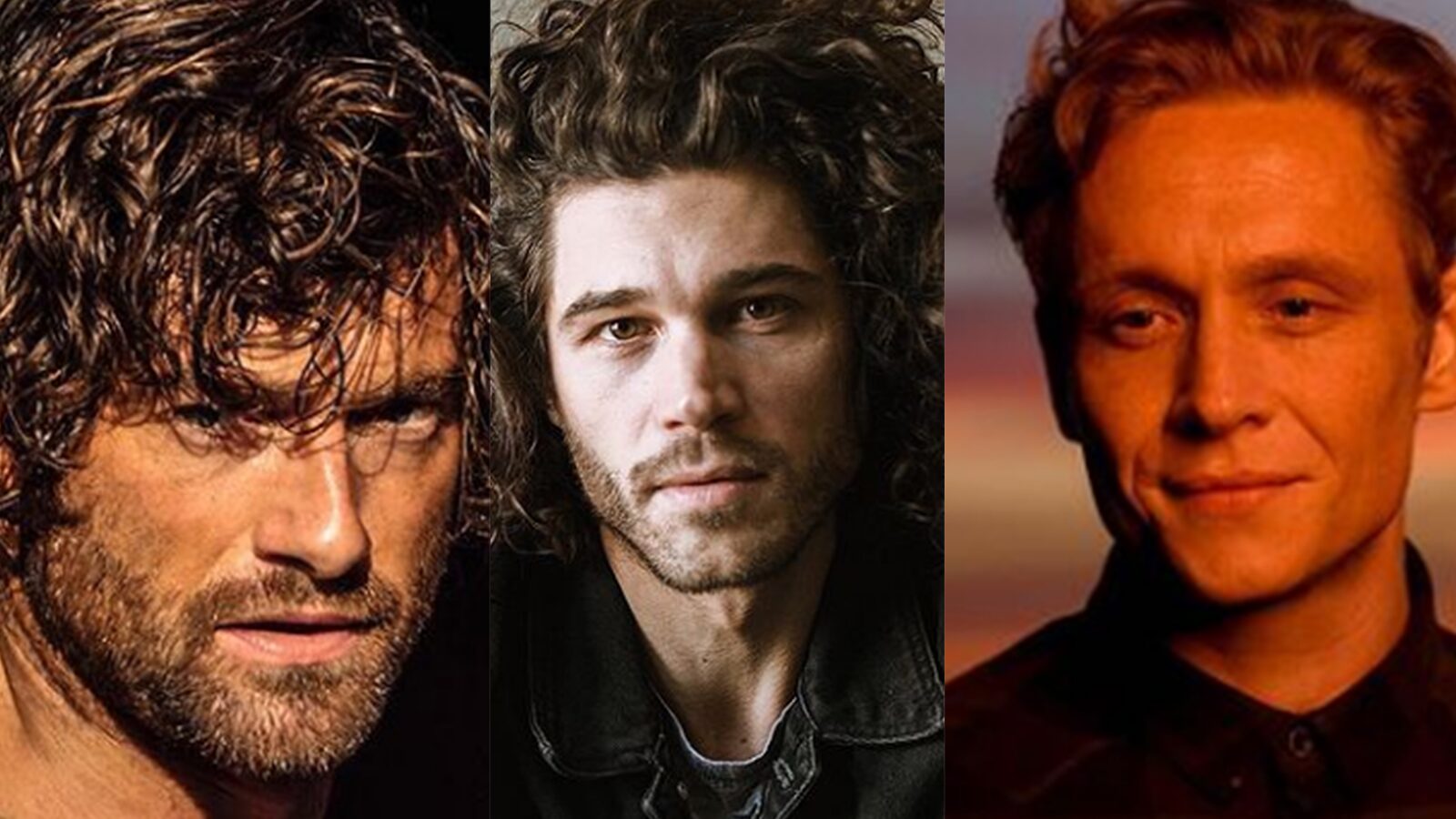 El ejército de los ladrones