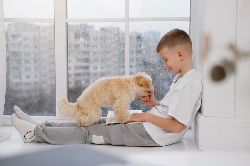 Niño junto a su perrito