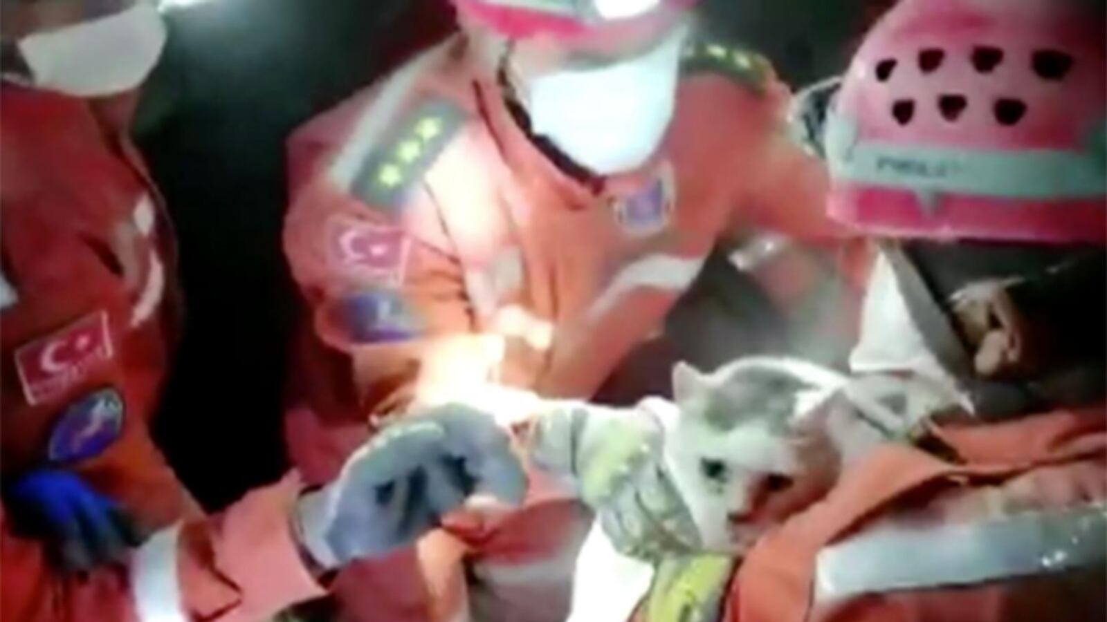 Rescatista conmueve al reanimar a gatito del terremoto de Turquía.
