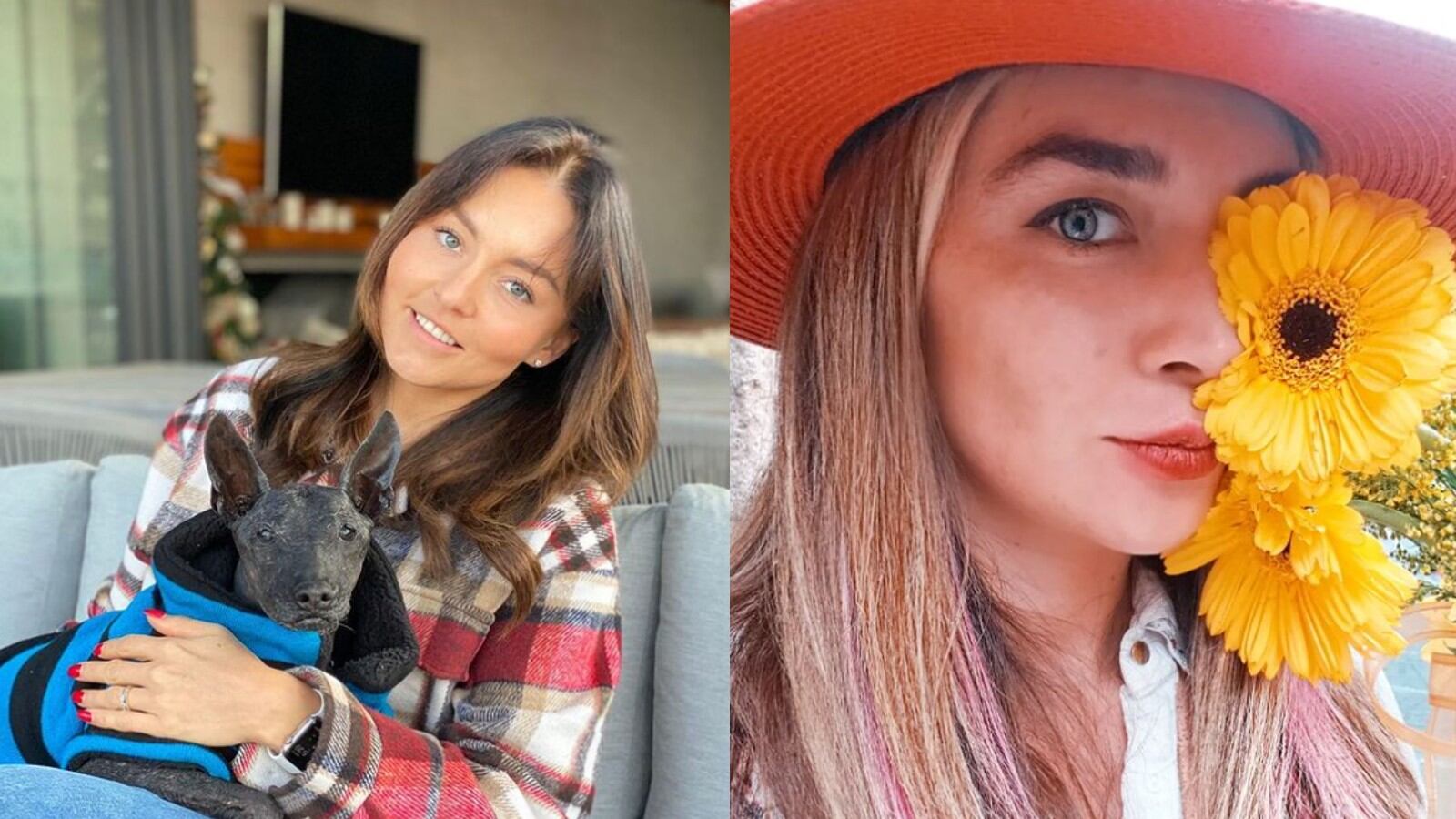 famosas mexicanas que no desean tener hijos