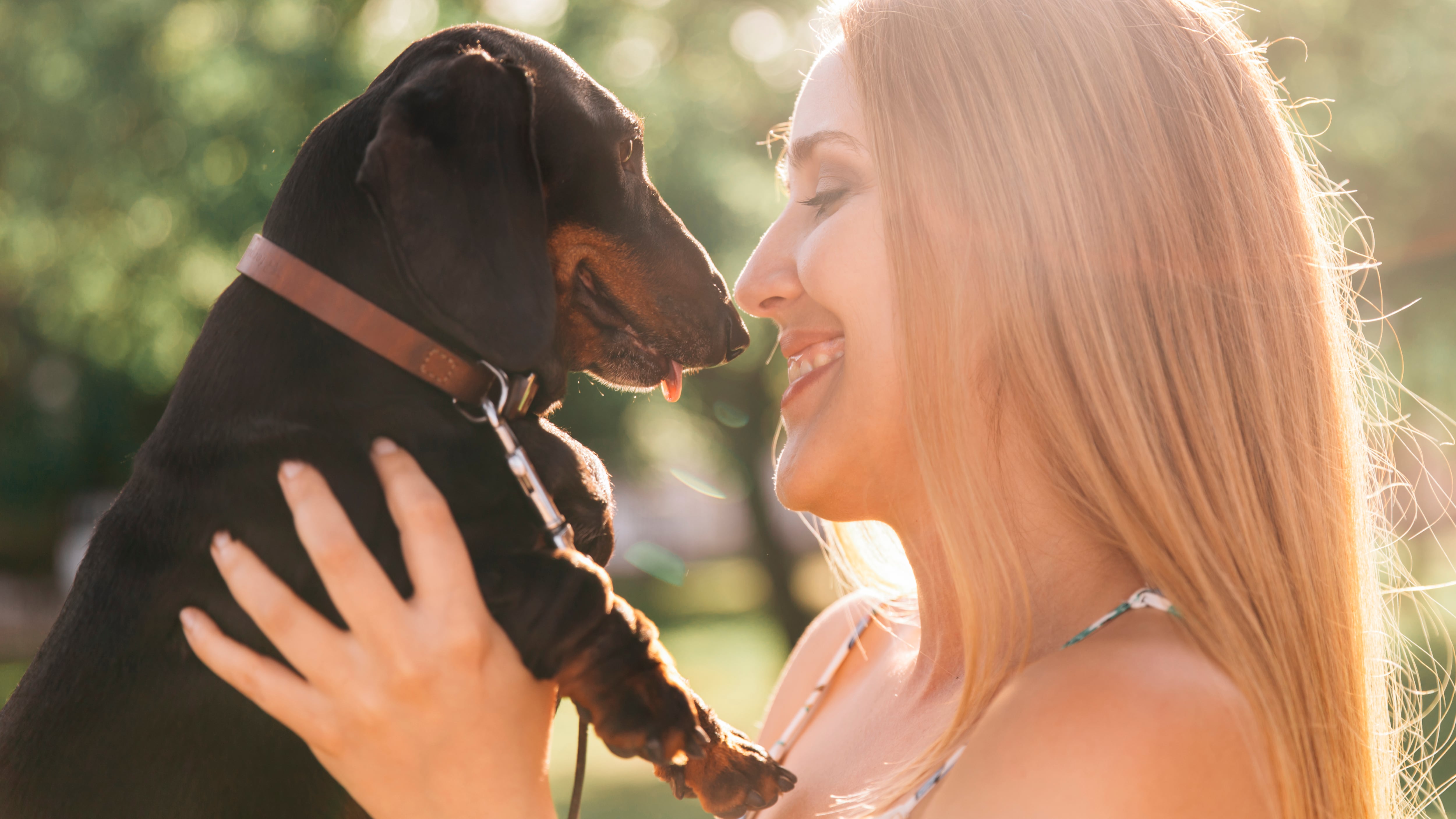 Impacto emocional de mascotas