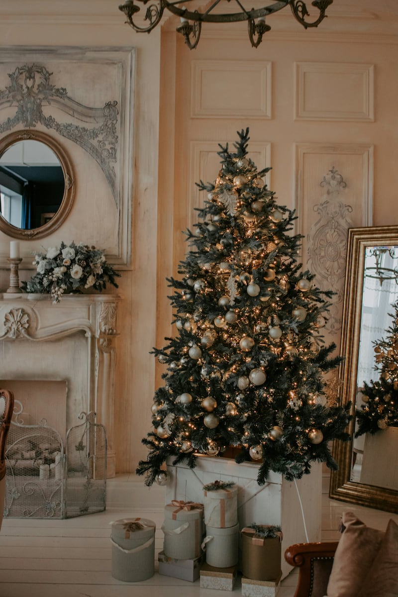 Pie de árbol en tendencia