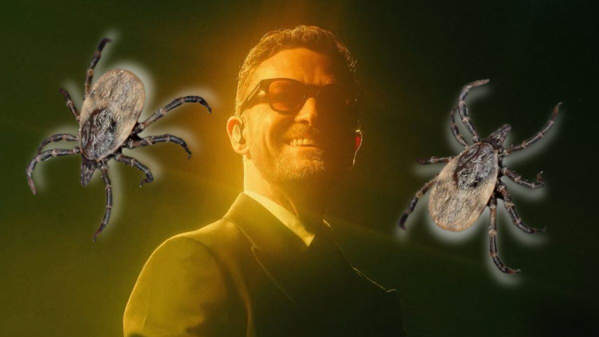 Justin Timberlake: Enfermedad de Lyme; qué es, síntomas, complicaciones y cómo se transmite