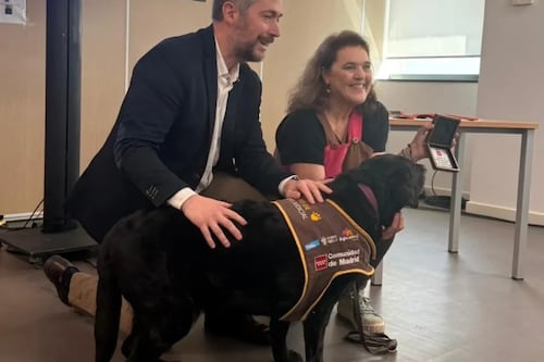 Eika, la perrita que acompaña a víctimas de violencia de género en los tribunales y está cambiando la justicia en España