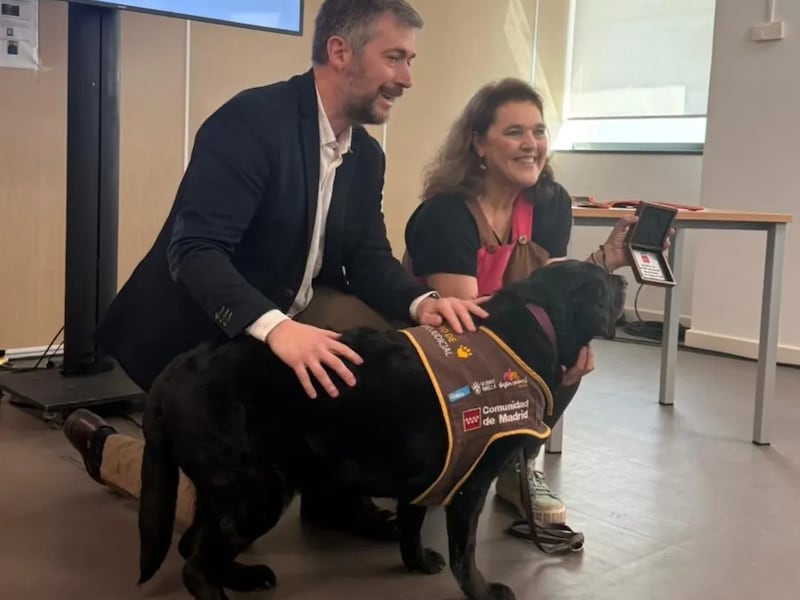 Eika, la perrita que acompaña a víctimas de violencia de género en los tribunales y está cambiando la justicia en España