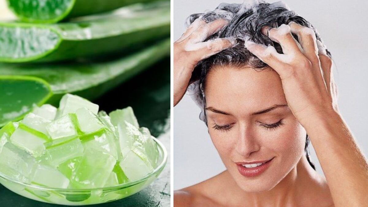Aloe vera en el champú