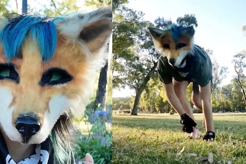 ¿Qué significa therian y cómo se diferencia de un furry?