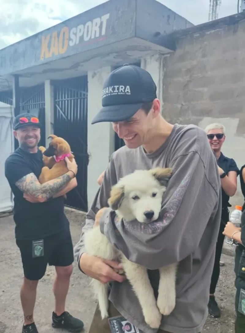 @camiloenaccionanimal