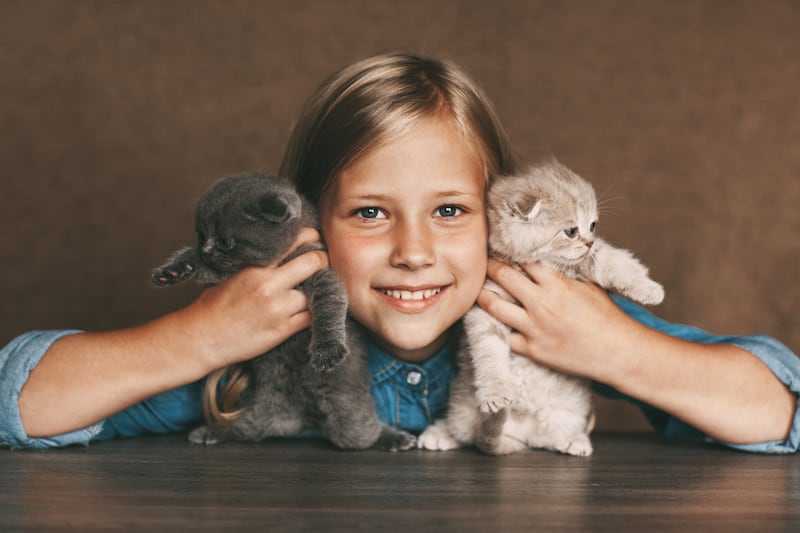 Niños y animales