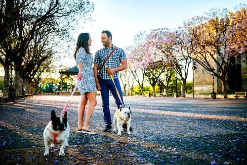 El nuevo “Tinder” tiene cuatro patas: Los parques para perros de Nueva York son el epicentro de la socialización en 2026