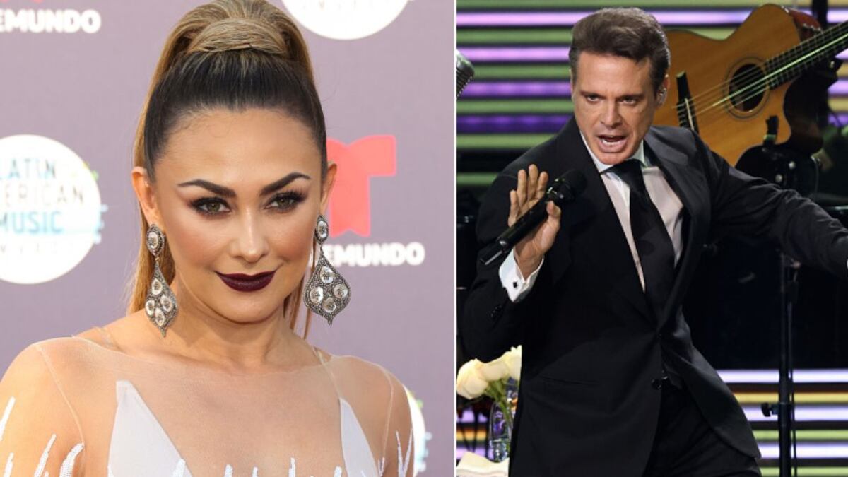 Aracely Arambula celebró los 15 años de su hijo Daniel: Luis Miguel ni un mensaje