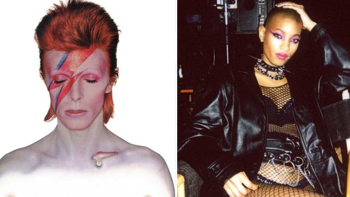 David Bowie /  Willow