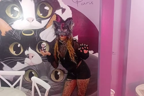 “No disociamos de la realidad”, explica mujer therian que se identifica como gato negro