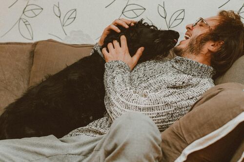 ¿Por qué los hombres que aman a los perros son los más deseados?