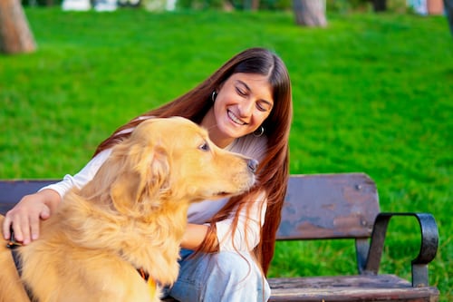 ¿Qué te dice tu mascota? China lanza un revolucionario collar con IA que traduce a perros y gatos
