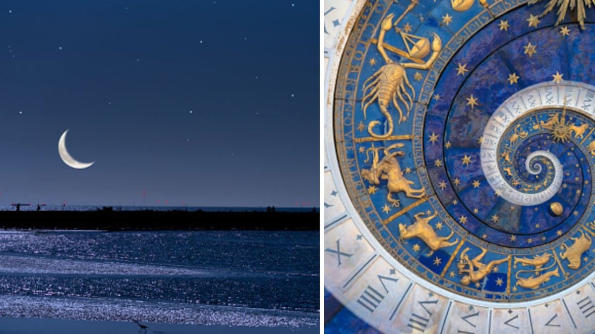 Tauro, Leo, Sagitario, Capricornio y Piscis son los signos que les irá muy bien en todo los negocios y nuevos proyectos