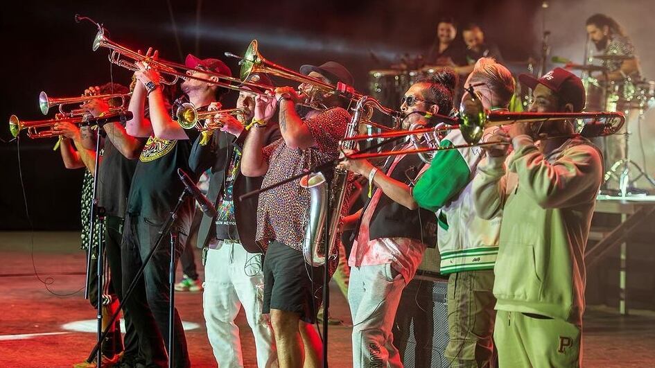 Los integrantes de la banda nacional revelaron los motivos de porqué no han podido llegar hasta ahora con su show al escenario del Festival de Viña del Mar.